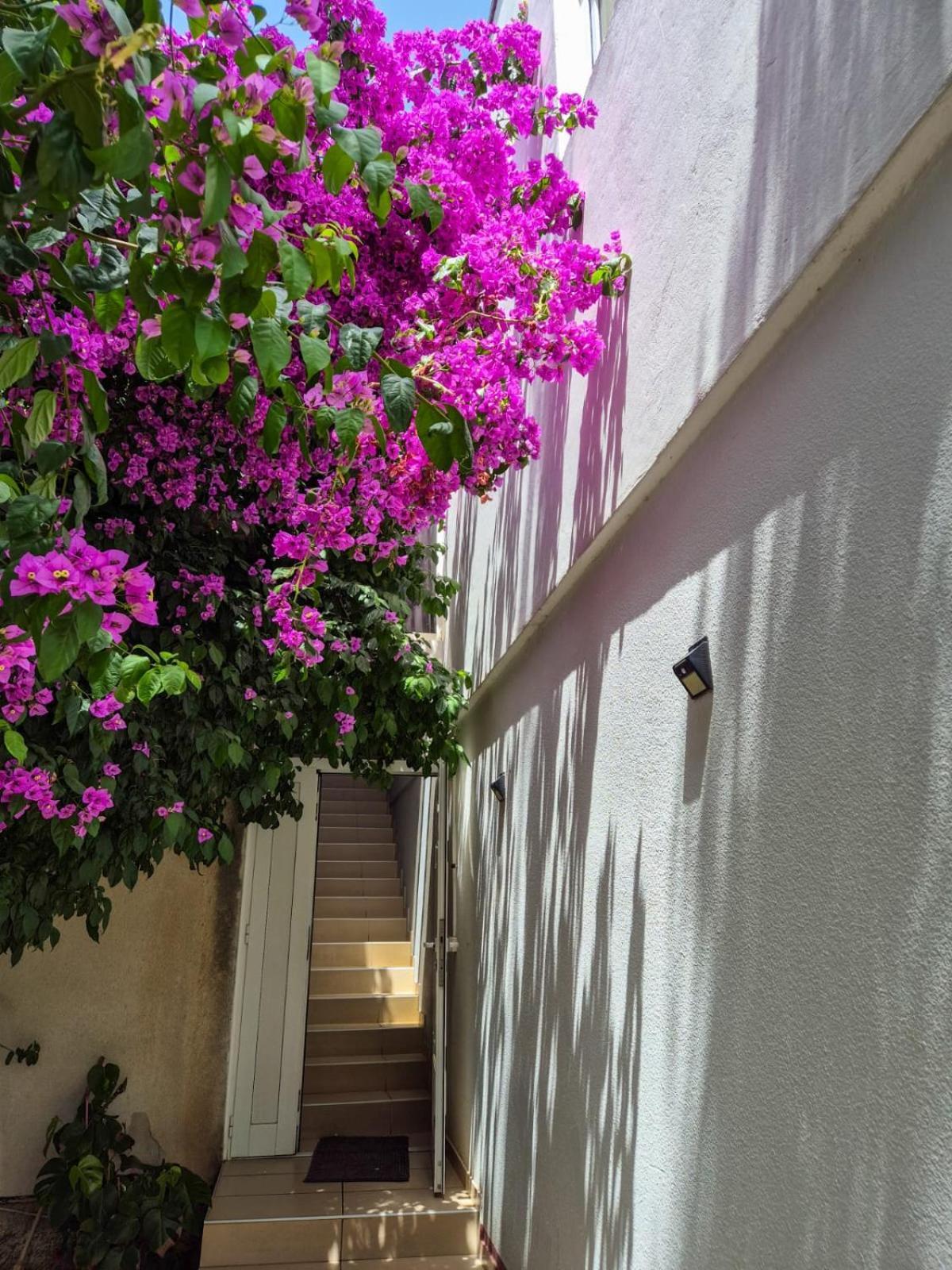 Apartments And Pansion M&R Туран Екстериор снимка